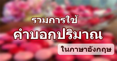 การใช้คำบอกปริมาณ ในภาษาอังกฤษ ฉบับย่อ เข้าใจง่าย